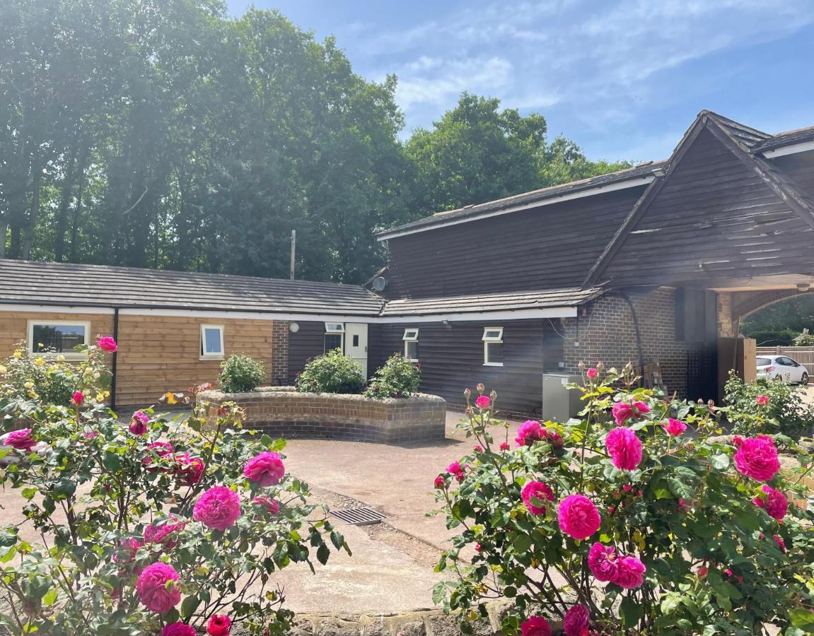 The Rose Cottage Wisborough Green Dış mekan fotoğraf